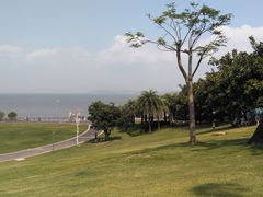 -深圳湾公园(南山区)