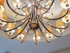 -沪碟·精菜坊(闵行店)