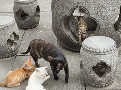 -宝通禅寺