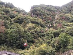 -牛背梁国家森林公园