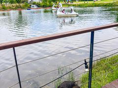-济州森林小火车生态公园
