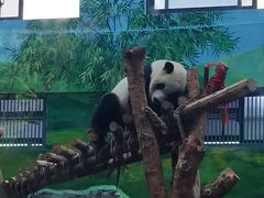 -黔灵山公园