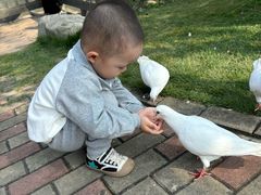 -合肥滨湖国家森林公园