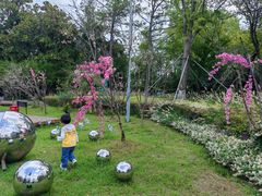 -金鸡湖桃花岛