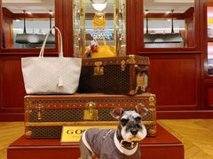 -Goyard 高雅德(国贸商城店)