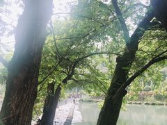 -鹿亭中村