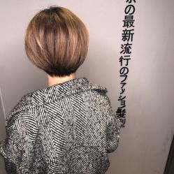 点击看大图 -藤野造型