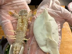 -金龙·打边炉(南京西路店)