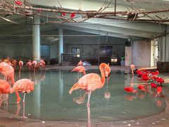 -石家庄市动物园