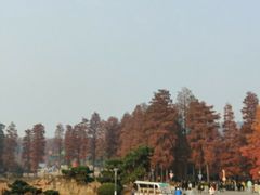 -东湖磨山景区