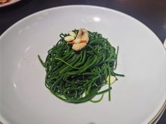 凉拌鲜沙葱-蒙料·手把肉(望京店)