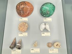 -天津古林古海岸遗迹博物馆