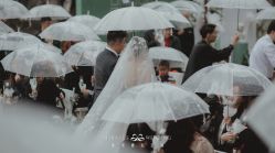 -美诺婚礼策划·求婚策划