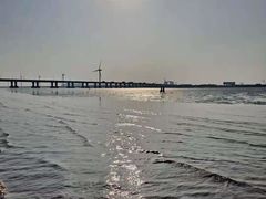 -南汇新城海滩