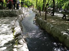 -陕西省红河谷森林公园