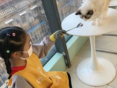 -怪兽屋·羊驼·猫咖·狗咖(俊华广场店)