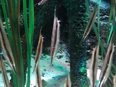 -沈阳海洋探索中心