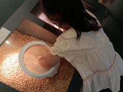 -四川大学博物馆