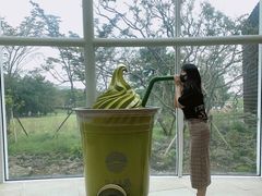 -雪绿茶博物馆