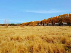 -塞罕坝国家级自然保护区