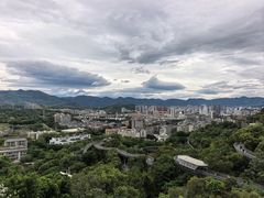 -福道