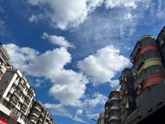 -深圳仙湖植物园