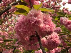 -苏州河梦清园环保主题公园