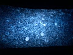 -万象影城(深圳布吉万象汇IMAX店)