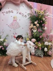 -苏派宝宝生日宴·求婚策划·气球派对布置(园区店)