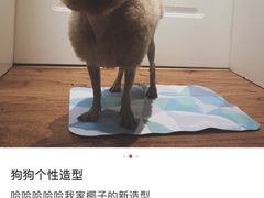 -真枪会射击俱乐部(河西中央公园店)