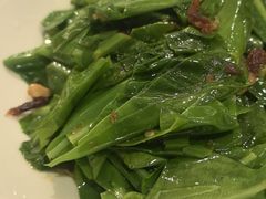 -南海渔村(珠江新城店)
