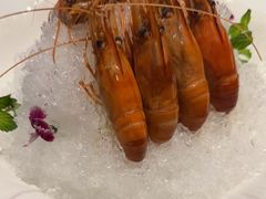 -南麓·浙里(外滩店)