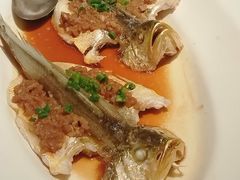 -悦海堂(金融街购物中心店)