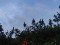 -缙云山景区