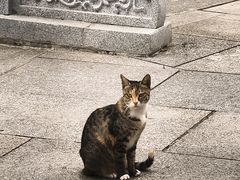 -宝通禅寺