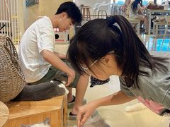 -藏猫猫咖啡主题馆(中央大道店)