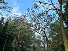 -云溪植物园