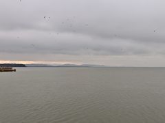 -呈贡滇池生态湿地公园