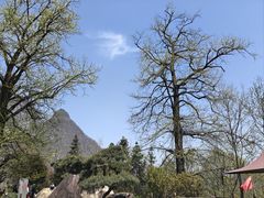 -武当山风景区