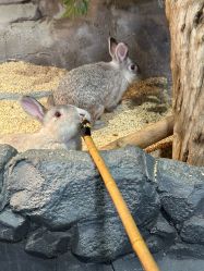 点击看大图 -Zoolung Zoolung动物主题公园(海信广场店)