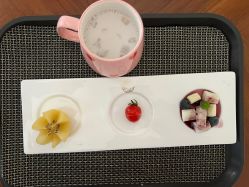 点击看大图 -广州安和泰医学月子会所