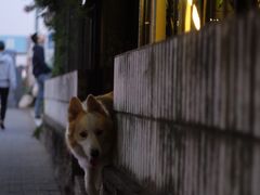 -豆舞咖啡(民乐路店)