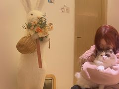 -猫腻·猫咖·撸猫馆(星光大道店)