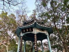 -乌山风景区