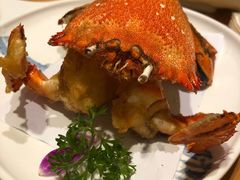 -割烹旭日本料理(龙湖狮山天街店)