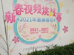 -天适樱花悠乐园