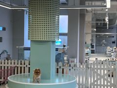 -怪兽屋·羊驼·猫咖·狗咖(俊华广场店)