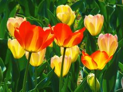 -北京植物园南门售票处