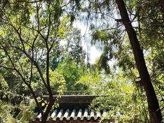 -红螺寺