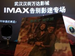 -万达影城(汉街万达广场IMAX店)